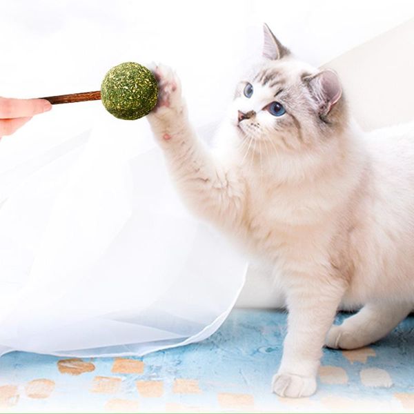 cat toys 5pcs/lot pet silvervine catnip mint home chasing game ball healthy beneficial interactive toy
cat toys 5pcs/lot pet silvervine catnip mint home chasing game ball healthy beneficial interactive toy