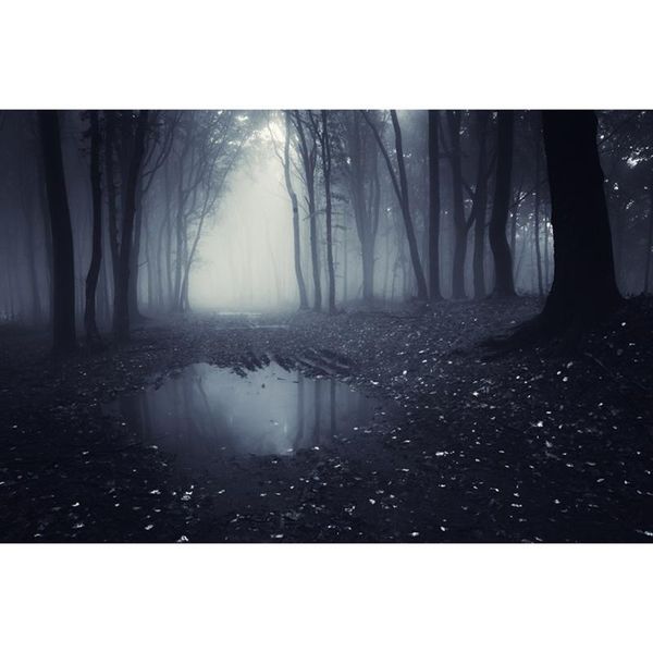 party decoration 5x3ft pography backdrop christmas horror forest marsh background vinly cloth wall decor baby birthday
party decoration 5x3ft pography backdrop christmas horror forest marsh background vinly cloth wall decor baby birthday