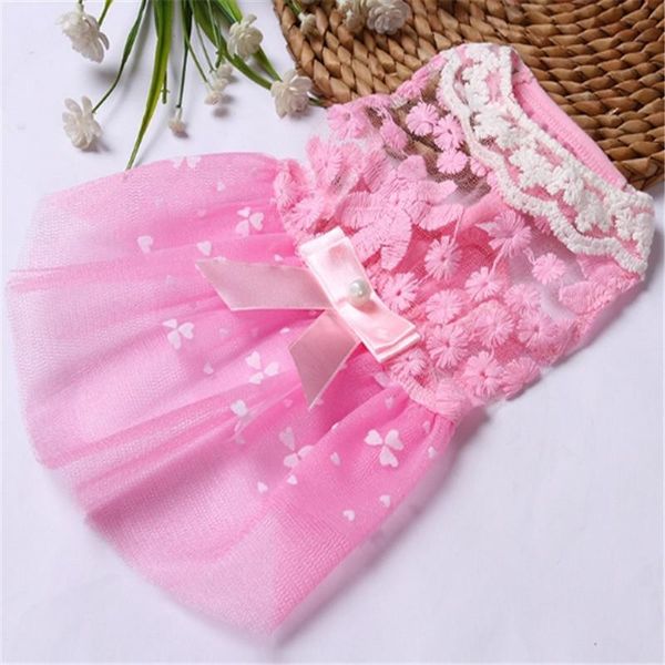 dog apparel 2021 summer pet cat clothes lovely dress lace wedding skirts small dresses spring clothing for pets party costume
dog apparel 2021 summer pet cat clothes lovely dress lace wedding skirts small dresses spring clothing for pets party costume