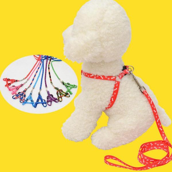 dog collars & leashes 1pcs adjustable pet cat doggie puppy colorful nylon lead harness belt rope safely leash products
dog collars & leashes 1pcs adjustable pet cat doggie puppy colorful nylon lead harness belt rope safely leash products