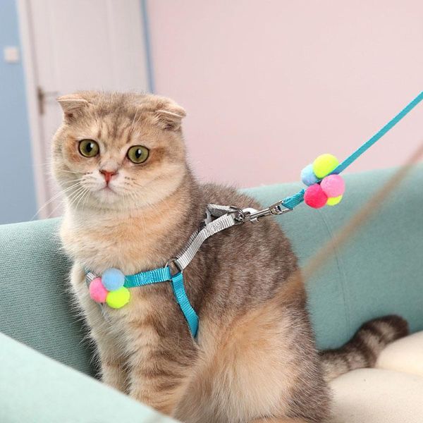 cat collars & leads adjustable harness and leash small dog vest lead puppy kitten collar pet belt cats goods accessories
cat collars & leads adjustable harness and leash small dog vest lead puppy kitten collar pet belt cats goods accessories