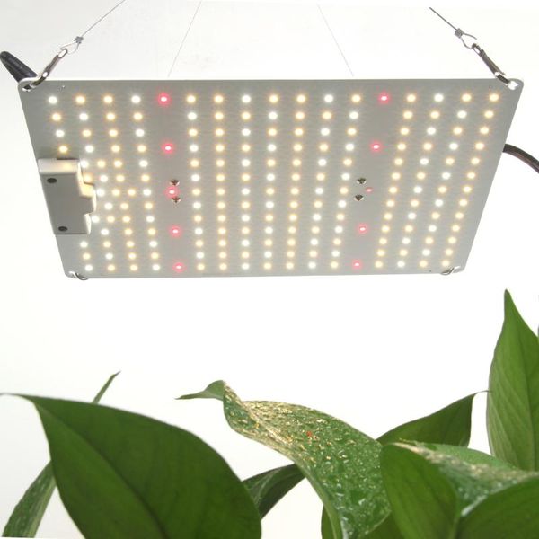grow lights super 100w quantum led light for hydroponics with low consumption
grow lights super 100w quantum led light for hydroponics with low consumption