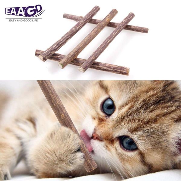 cat toys 5pcs/set catnip sticks wood plant organic natural chew teeth cleaning toy for kitten
cat toys 5pcs/set catnip sticks wood plant organic natural chew teeth cleaning toy for kitten