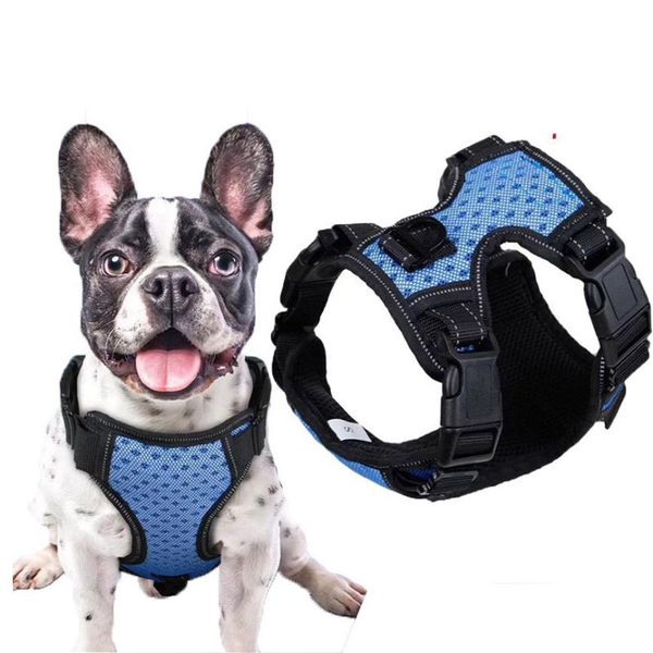 dog collars & leashes adjustable reflective pet collar vest harness for training small medium large dogs accessories
dog collars & leashes adjustable reflective pet collar vest harness for training small medium large dogs accessories
