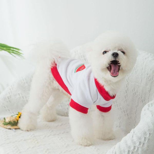 dog apparel clothes fruit t-shirt summer cat teddy spring and thin pet bichon small puppies
dog apparel clothes fruit t-shirt summer cat teddy spring and thin pet bichon small puppies