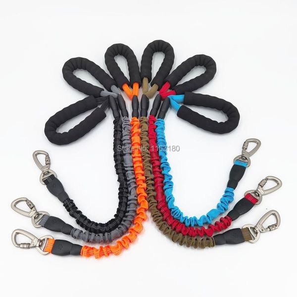 dog collars & leashes 50 pcs/lot large nylon elastic bungee leash hand dogs with handle puppy collar pet safe running training
dog collars & leashes 50 pcs/lot large nylon elastic bungee leash hand dogs with handle puppy collar pet safe running training