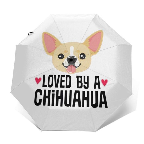 umbrellas chihuahua umbrella protection automatic art lightweight beach 
umbrellas chihuahua umbrella protection automatic art lightweight beach