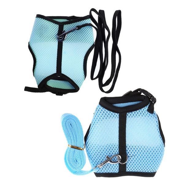 cat collars & leads q0kf hamster mesh harness leash ferret small animal pet walk lead
cat collars & leads q0kf hamster mesh harness leash ferret small animal pet walk lead