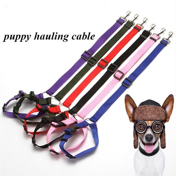 dog collars & leashes practical cat harness leash pet safety adjustable car seat belt travel clip strap lead universal
dog collars & leashes practical cat harness leash pet safety adjustable car seat belt travel clip strap lead universal