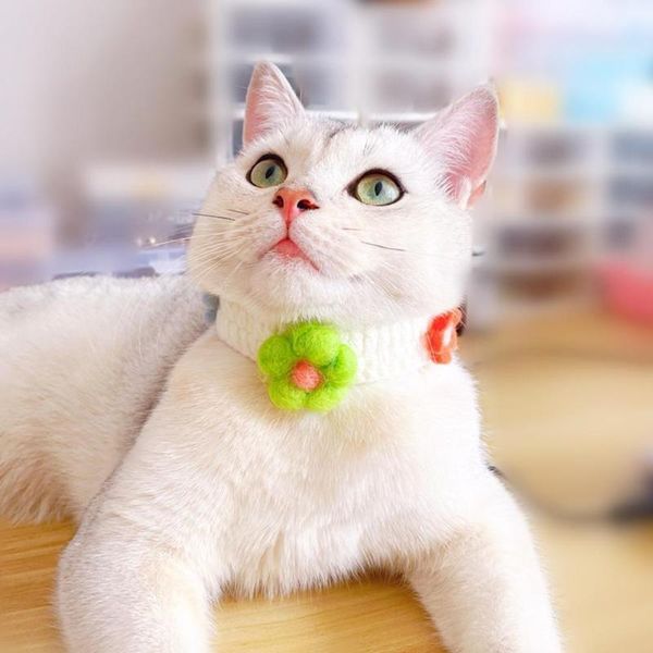 cat collars & leads pretty pet collar multi-color woolen yarn cute necklace neck circle
cat collars & leads pretty pet collar multi-color woolen yarn cute necklace neck circle