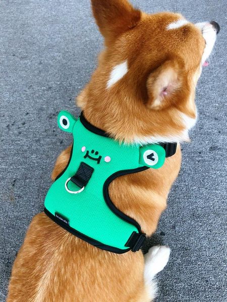 small cloth dog harness fishnet chest strap dogs adjustable harnesses walk chapa perro personalizada outdoor products oo50xq collars & leash
small cloth dog harness fishnet chest strap dogs adjustable harnesses walk chapa perro personalizada outdoor products oo50xq collars & leash