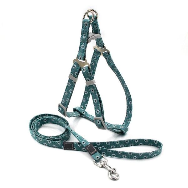dog collars & leashes pet leash and collar explosion-proof colorful printed chest strap durable korean canvas traction supplies
dog collars & leashes pet leash and collar explosion-proof colorful printed chest strap durable korean canvas traction supplies