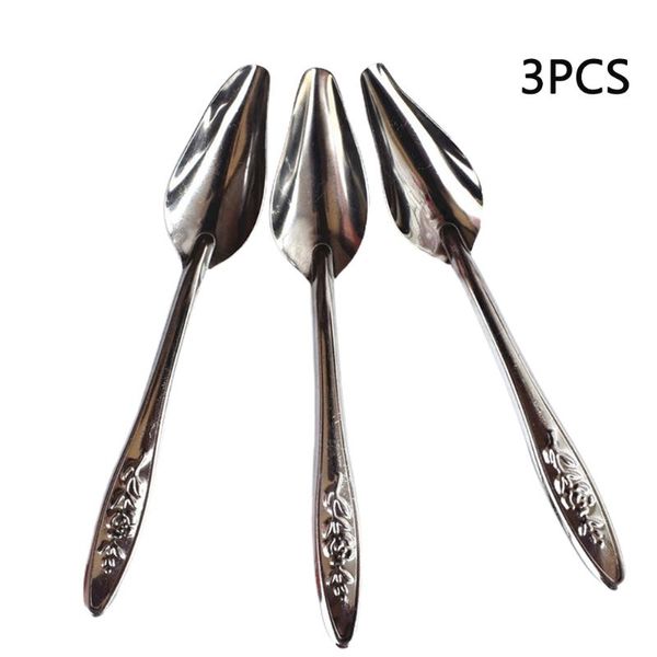other bird supplies 3pcs feeding spoon milk powder for parrot stainless steel professional pet portable peony cockatiel scoop
other bird supplies 3pcs feeding spoon milk powder for parrot stainless steel professional pet portable peony cockatiel scoop