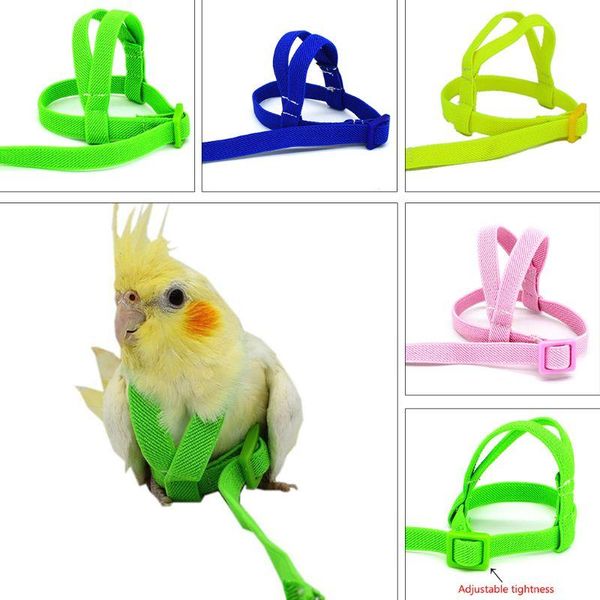 other bird supplies 2m anti bite flying training rope parrot leash ultralight harnesses portable soft band pet c42
other bird supplies 2m anti bite flying training rope parrot leash ultralight harnesses portable soft band pet c42