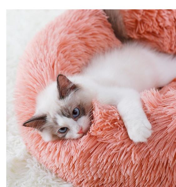cat bed,cat beds house cushion mat nest large warm for winter bed soft pet long plush & furniture
cat bed,cat beds house cushion mat nest large warm for winter bed soft pet long plush & furniture