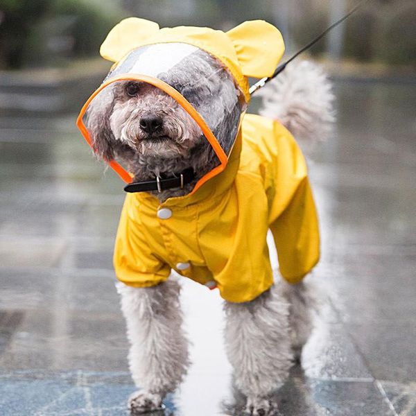 dog apparel clothes waterproof coat, soft pet jacket lightweight for cold weather outdoor sports
dog apparel clothes waterproof coat, soft pet jacket lightweight for cold weather outdoor sports