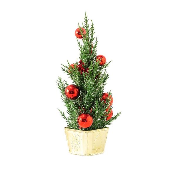 christmas decorations mini tree kids gifts portable pe red beautiful home decor ornaments
christmas decorations mini tree kids gifts portable pe red beautiful home decor ornaments