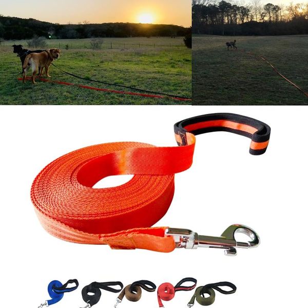 dog leash training obedience recall with softy heavy handle control 10m 15m 20m long pet for camping backyard swim collars & leashes
dog leash training obedience recall with softy heavy handle control 10m 15m 20m long pet for camping backyard swim collars & leashes