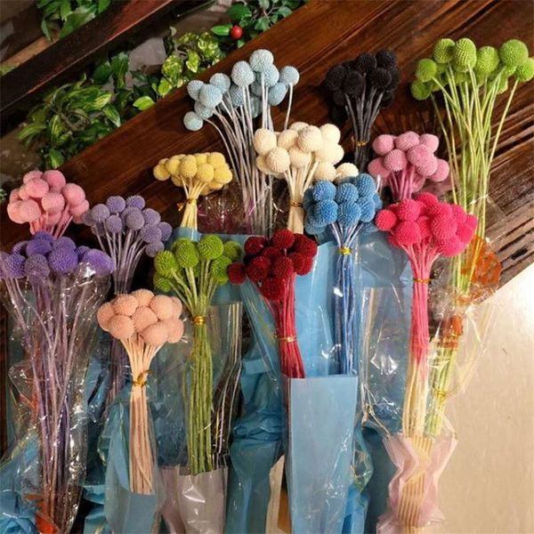 decorative flowers & wreaths 20pcs /bundle natural dried flower balls wedding christmas decoration preserved bouquet forever 2021
decorative flowers & wreaths 20pcs /bundle natural dried flower balls wedding christmas decoration preserved bouquet forever 2021