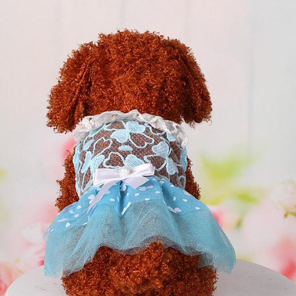 dog apparel summer pet cat clothes lovely dress lace wedding skirts small dresses spring clothing for pets party costume
dog apparel summer pet cat clothes lovely dress lace wedding skirts small dresses spring clothing for pets party costume