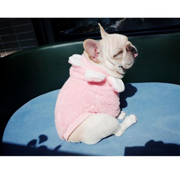 high pet clothes dog flower sweater cute lovely sunflower fleece for dogs uej apparel
high pet clothes dog flower sweater cute lovely sunflower fleece for dogs uej apparel