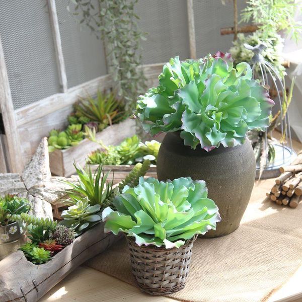 decorative flowers & wreaths simulation queen flower succulents wedding home background wall pography green plant
decorative flowers & wreaths simulation queen flower succulents wedding home background wall pography green plant