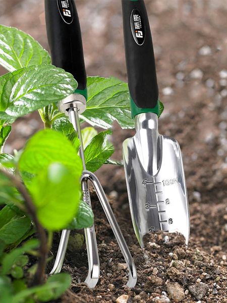 planters & pots fujiwara garden shovel family fleshy flower breeding tool set stainless steel digging rake thickened small
planters & pots fujiwara garden shovel family fleshy flower breeding tool set stainless steel digging rake thickened small