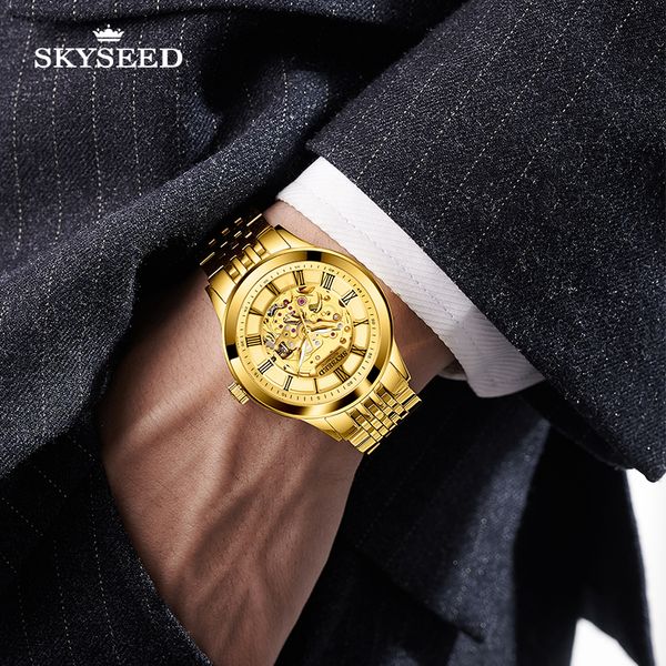td6124g tiandai watch men's retro gold hollow sapphire roman mirror business temperament steel strip 40mm waterproof, Slivery;brown
td6124g tiandai watch men's retro gold hollow sapphire roman mirror business temperament steel strip 40mm waterproof, Slivery;brown