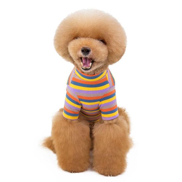 dog apparel autumn and winter knitted fabrics with three-color fashion striped shirts green orange purple s-xxl
dog apparel autumn and winter knitted fabrics with three-color fashion striped shirts green orange purple s-xxl
