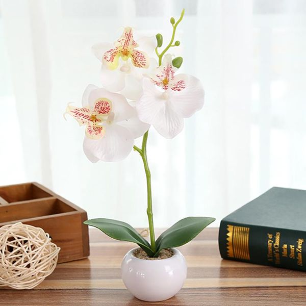 decorative flowers & wreaths artificial butterfly orchid silk flower bonsai simulation real touch 3 heads phalaenopsis ceramic vase set part
decorative flowers & wreaths artificial butterfly orchid silk flower bonsai simulation real touch 3 heads phalaenopsis ceramic vase set part