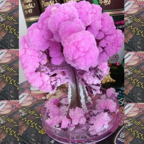 party masks 20pcs 2021 9hx8wcm artificial paper sakura trees magic growing tree japan deskcherry blossom educational toys for children
party masks 20pcs 2021 9hx8wcm artificial paper sakura trees magic growing tree japan deskcherry blossom educational toys for children