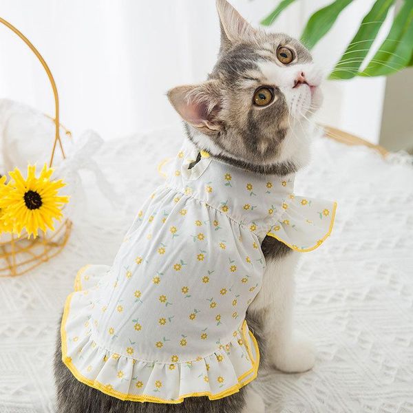 floral print summer cat dress pet clothes little dog flare sleeve bohemian flower beach dresses korean kitten ruffle sundress costumes
floral print summer cat dress pet clothes little dog flare sleeve bohemian flower beach dresses korean kitten ruffle sundress costumes