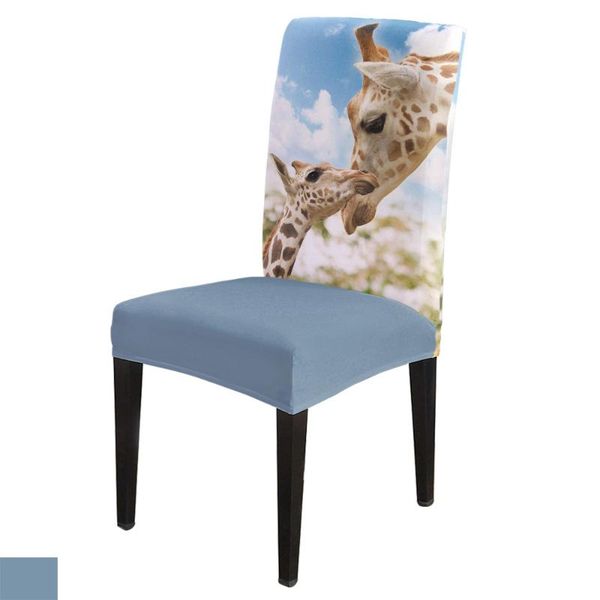 chair covers dining room cover giraffe cloud sky table chairs for kitchen tablecloth home decor
chair covers dining room cover giraffe cloud sky table chairs for kitchen tablecloth home decor