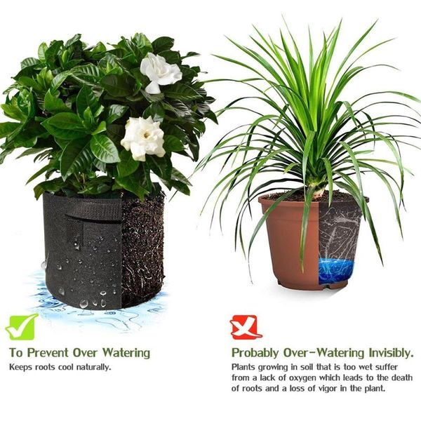planters & pots plant grow bag planting belt tomato sweet potato garden patio balcony spring flower pot
planters & pots plant grow bag planting belt tomato sweet potato garden patio balcony spring flower pot