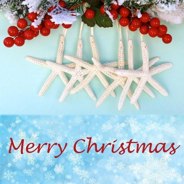 christmas decorations (6pcs/lot)lovely shell&starfish pendant&drop ornaments natural shell&conch handmade party diy decor1
christmas decorations (6pcs/lot)lovely shell&starfish pendant&drop ornaments natural shell&conch handmade party diy decor1