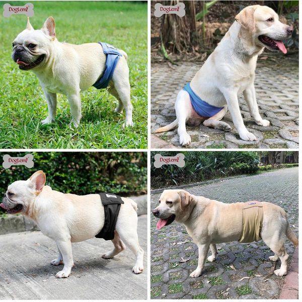 dog apparel 1/3pcs washable male belly band wrap waterproof physiological pant female shorts panties menstruation underwear
dog apparel 1/3pcs washable male belly band wrap waterproof physiological pant female shorts panties menstruation underwear