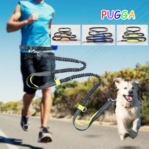 multi-functional dog leash retrackable reflective double elasticity padded waist quality gg4010 collars & leashes
multi-functional dog leash retrackable reflective double elasticity padded waist quality gg4010 collars & leashes