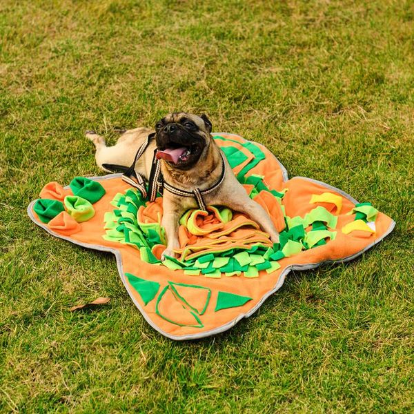 cat toys dog increase iq snuffle mat slow dispensing feeder pet puzzle puppy training games feeding food intelligence toy
cat toys dog increase iq snuffle mat slow dispensing feeder pet puzzle puppy training games feeding food intelligence toy
