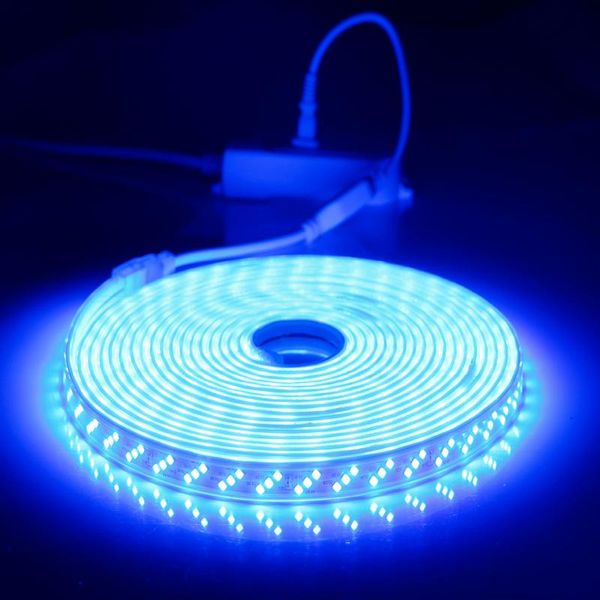 1m~20m 220v led lights with 2835 high security and brightness 180leds/m flexible strip outdoor waterproof strips
1m~20m 220v led lights with 2835 high security and brightness 180leds/m flexible strip outdoor waterproof strips