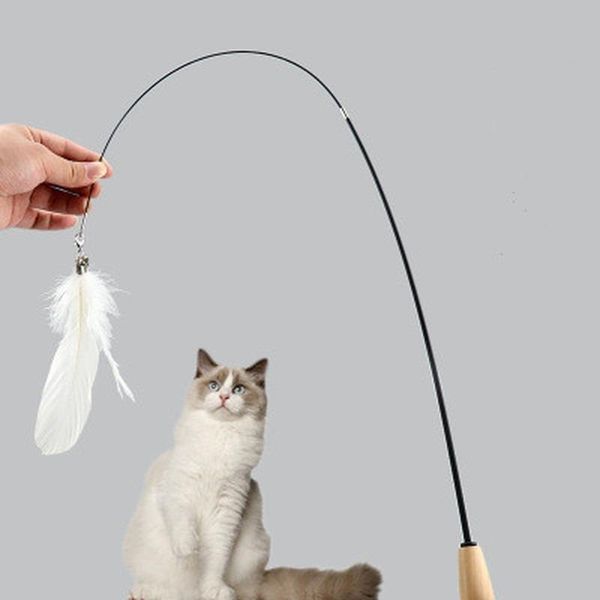 cat toys 10 style 1pc kitten interactive stick funny fishing rod game wand feather toy pet supplies accessory
cat toys 10 style 1pc kitten interactive stick funny fishing rod game wand feather toy pet supplies accessory
