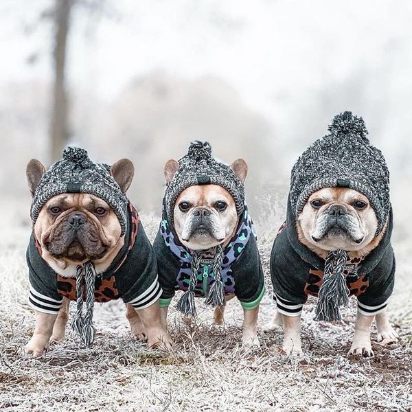 dog apparel shuangmao pet cat hat christmas warm outdoor windproof hats woolen accessories for small medium large dogs
dog apparel shuangmao pet cat hat christmas warm outdoor windproof hats woolen accessories for small medium large dogs
