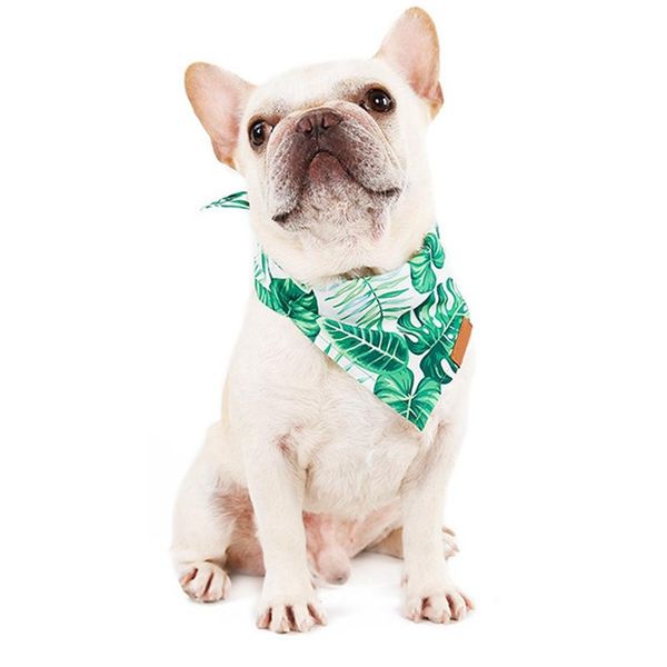 pet fashion beauty elry neck jewelry soft collar headband puppy cat scarf bib products1 dog collars & leashes
pet fashion beauty elry neck jewelry soft collar headband puppy cat scarf bib products1 dog collars & leashes