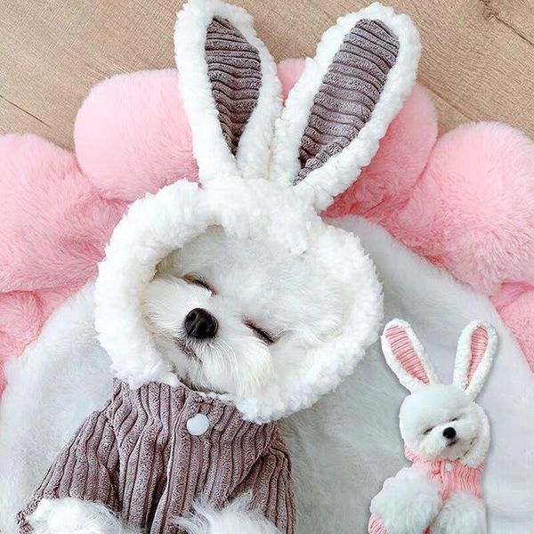 dog apparel pet autumn and winter warm clothes cute costume for dogs cotton cat puppy dressing outfit
dog apparel pet autumn and winter warm clothes cute costume for dogs cotton cat puppy dressing outfit