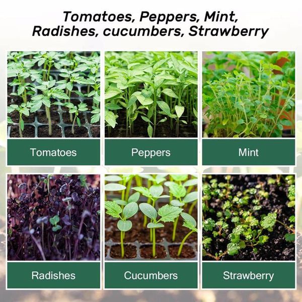 pieces of nursery soil block plastic succulents tray nutrition compressed peat medium seed starter plug planters & pots
pieces of nursery soil block plastic succulents tray nutrition compressed peat medium seed starter plug planters & pots