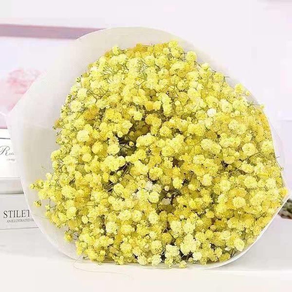 decorative flowers & wreaths yomdid natural fresh dried preserved gypsophila paniculata, baby's breath flower bouquets gift for wedding
decorative flowers & wreaths yomdid natural fresh dried preserved gypsophila paniculata, baby's breath flower bouquets gift for wedding