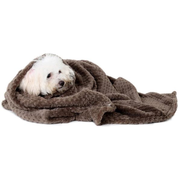 kennels & pens pet for bed warm furniture protector mat thickened cushion cover soft puppies dog blanket solid flannel home couch sofa
kennels & pens pet for bed warm furniture protector mat thickened cushion cover soft puppies dog blanket solid flannel home couch sofa