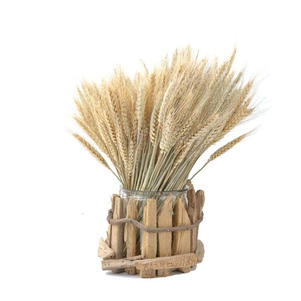 home decor wheat ears flower natural dried flowers bouquet 100pcs/pack color no flowerpot decorative & wreaths
home decor wheat ears flower natural dried flowers bouquet 100pcs/pack color no flowerpot decorative & wreaths