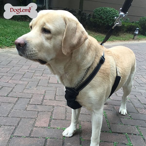 dog apparel pet clothes explosion proof punching collar pull belt large and small chest strap rope set to reduce
dog apparel pet clothes explosion proof punching collar pull belt large and small chest strap rope set to reduce