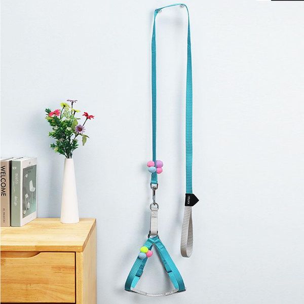 dog collars & leashes 2021 pet traction rope pompons cat harness slipped collar necklace leather
dog collars & leashes 2021 pet traction rope pompons cat harness slipped collar necklace leather