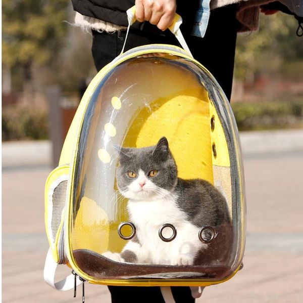 cat carriers,crates & houses 10 pieces/lot portable breathable pet carrier bag travel outdoor handbag multifunction space
cat carriers,crates & houses 10 pieces/lot portable breathable pet carrier bag travel outdoor handbag multifunction space